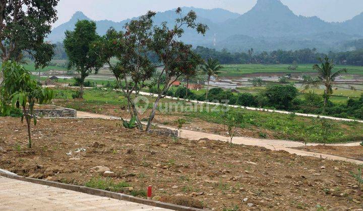 Tanah Kebun Dijual Harga Murah 275 Jt 500 M² Nempel Jln Provinsi 2