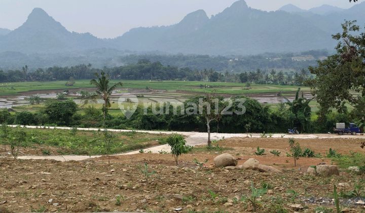 Jual Tanah Kavling Nempel Jln Provinsi Harga Murah 270jt/500m² 1