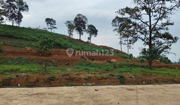 Dijual Kavling Sawah Aktif Di  Bogor Harga Terjangkau 520Juta 1