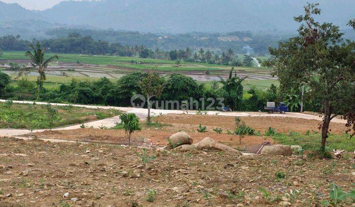 Bogor Jual Cepat Tanah Kebun Harga 360jt 500m² Dekat Jakarta 2