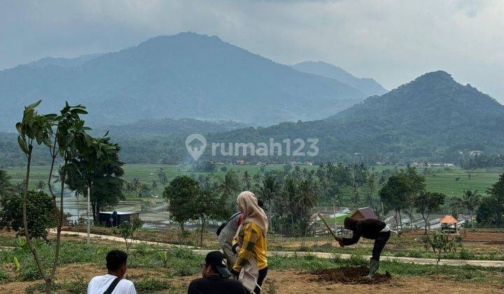 Tanah Murah Di Bogor Luas 531M² Harga 456Juta Ada Sawah, Gunung 1