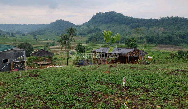 Jual Cepat Tanah Darat Di Bogor Lokasi Strategis Dekat Jakarta  1