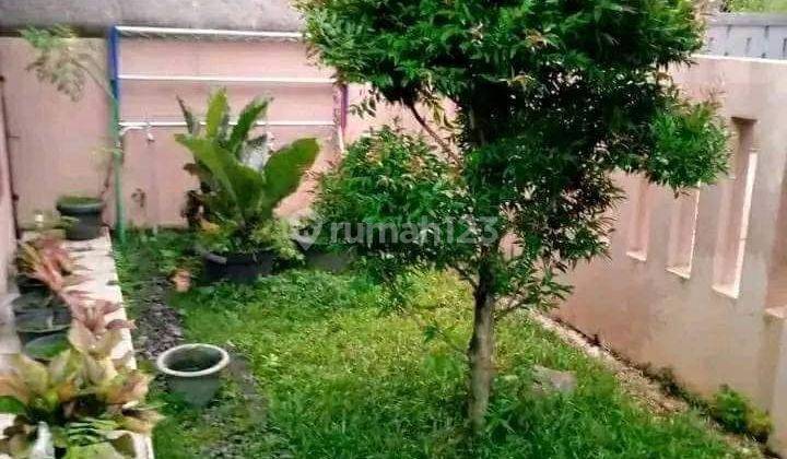 Rumah Sejuk Ada Kebunnya Di Parigi Tangerang 2