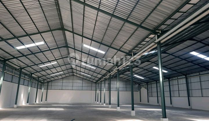 Warehouse in Noborejo