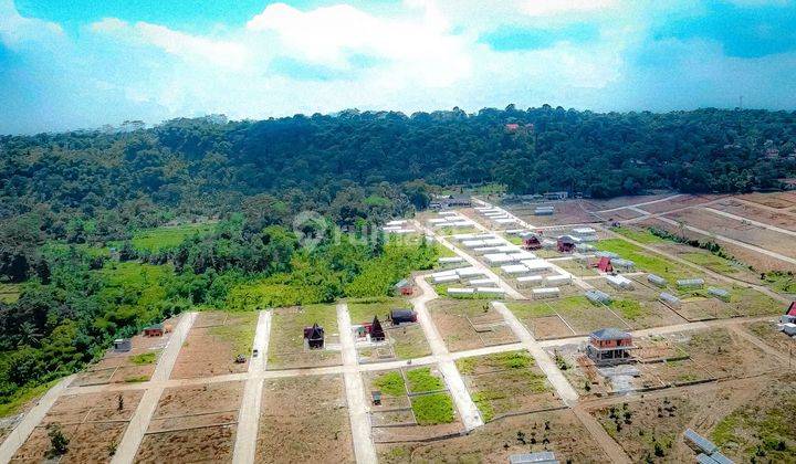 Tanah Kavling Wisata Murah Kebun Anggur untuk vila  2