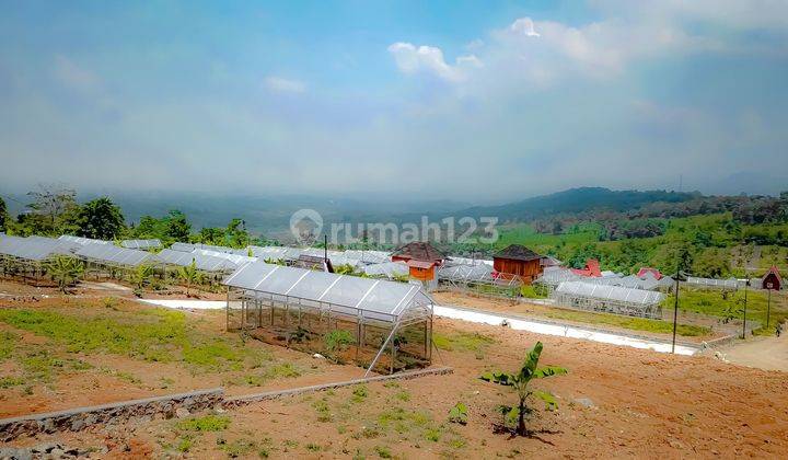 Tanah Kavling Wisata Murah Kebun Anggur untuk Vila  2