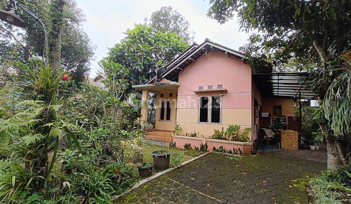 2 Rumah Asri Tanah Luas Asri Area Sariwangi 1