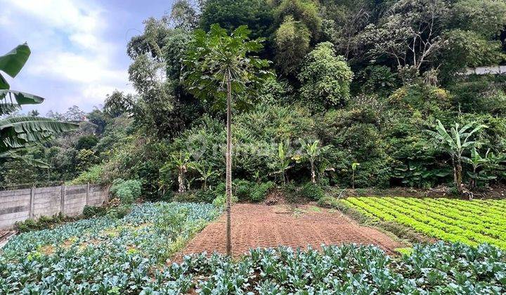 Tanah Luas Lokasi Dalam Komplek Di Ciwaruga 1