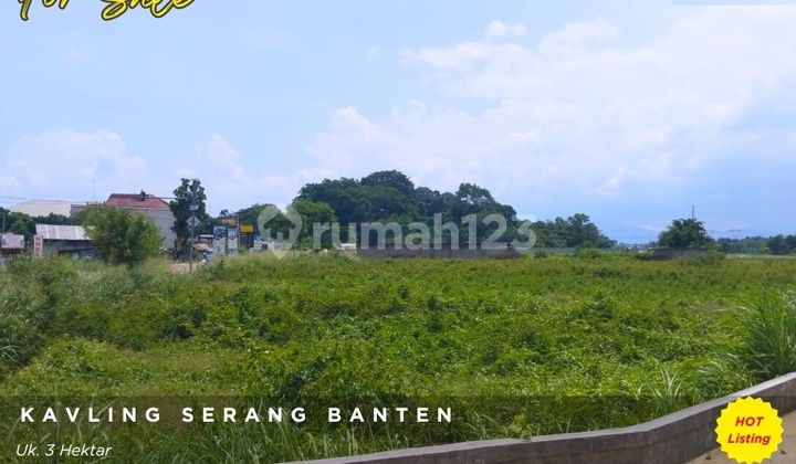 Tanah Serang Samping Kantor DPRD Kota Serang: LT 3 Ha, Jln Raya, Murah Tanah Serang Samping Kantor DPRD Kota Serang: LT 3 Ha, Jln Raya, Murah