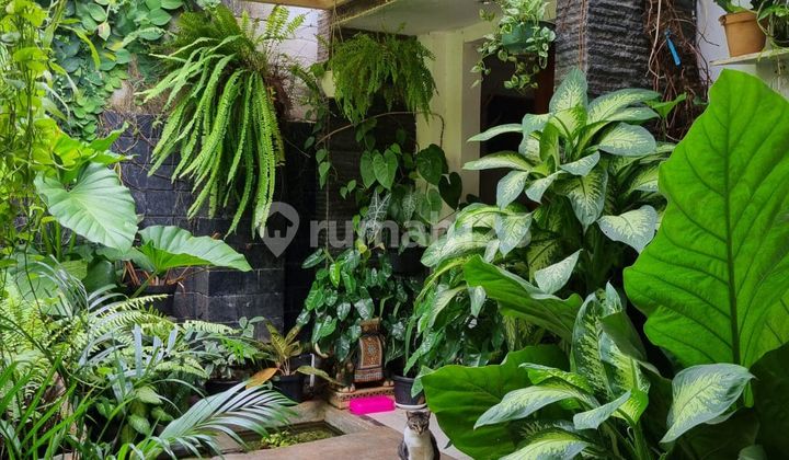 Rumah Super Cantik Harga Menarik Segera Survey Yuk