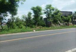 Lelang Aset Lamongan Di Brondong Di Tanah Raya Daendels  1