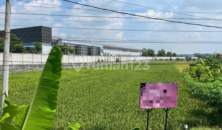 1021.249 Lelang Aset Jombang Di Kudu Di Tanah Raya Gledek Ploso