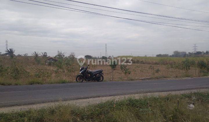 Lelang Aset Gresik Di Driyorejo Di Tanah Raya Mojosarirejo 2