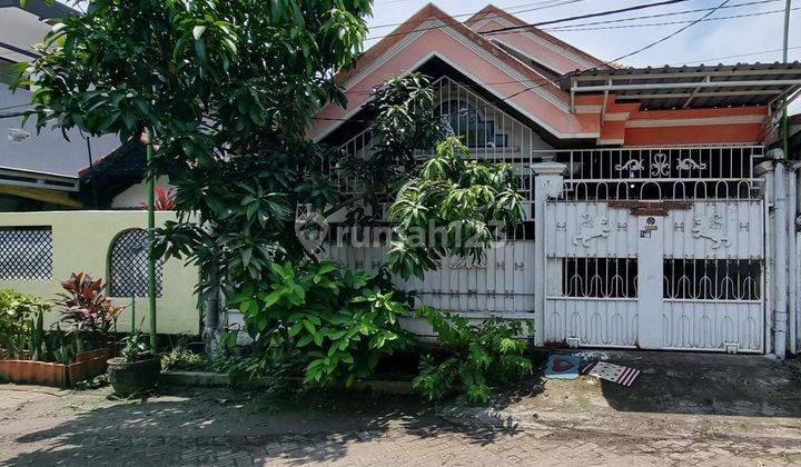 0429.107 Aset Lelang Surabaya Di Benowo Di Wisma Tengger Pipa 1
