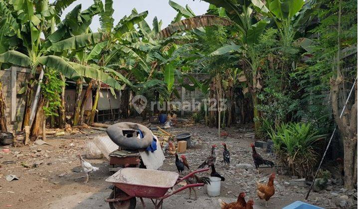 Lelang Aset Surabaya Di Gayungan Di Tanah Taman Gayung Kebonsari  1