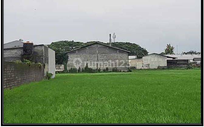 Lelang Aset Jombang Di Mojoagung Di Tanah Kel Gambiran  2