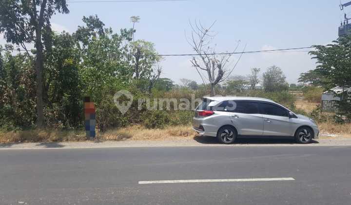 1113.42 Gresik Asset Auction in Bungah at Daendels' Tanah Raya