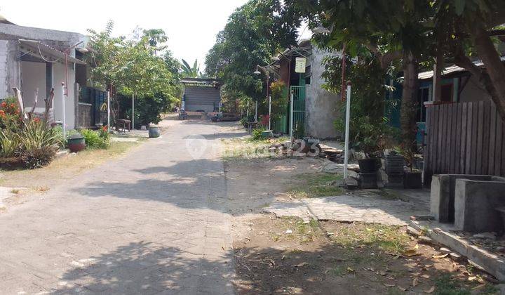 Lelang Aset Gresik Di Driyorejo Di Bukit Safir Raya U 2