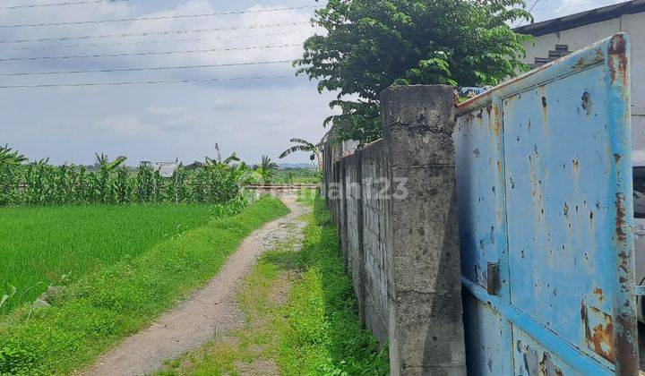 Lelang Aset Gresik Di Menganti Di Gudang Dusun Guntung  2