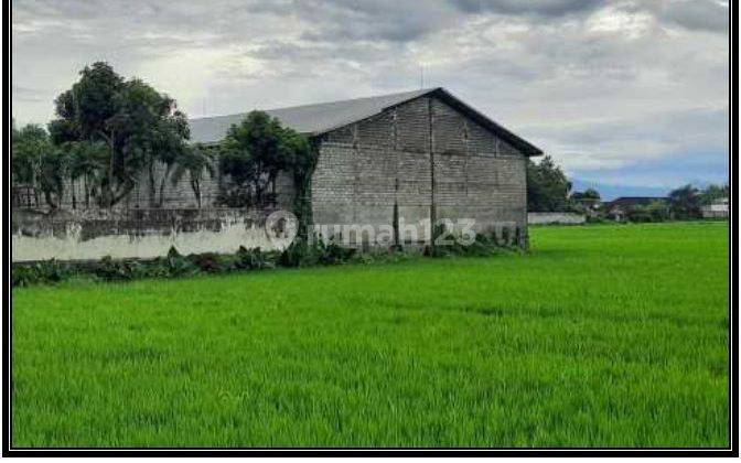 Lelang Aset Jombang Di Mojoagung Di Tanah Kel Gambiran  1