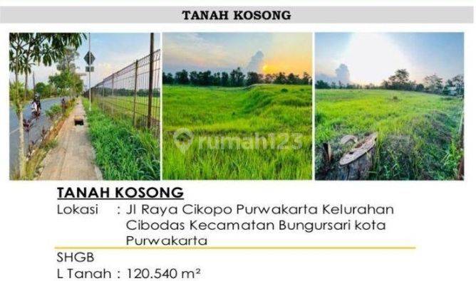 Dijual Tanah Depan Pintu Tol Cikopo Cikampek Karawang , Jawa Barat ( Land for sale in front of the Cikopo Cikampek Karawang Toll Gate, West Java ) 2