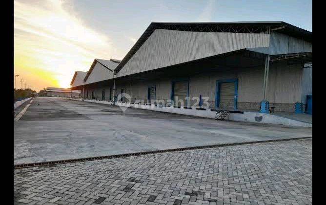 Disewakan Gudang Modern Karawang Barat Dalam Kawasan Pergudangan - Modern Warehouse For Rent In West Karawang In The Warehouse Area 2