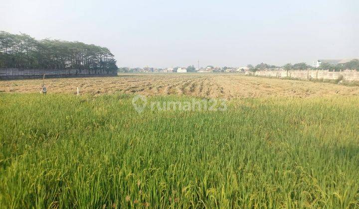 Dijual Tanah Strategis Karawang Barat ( West Karawang Strategic Land ) 1