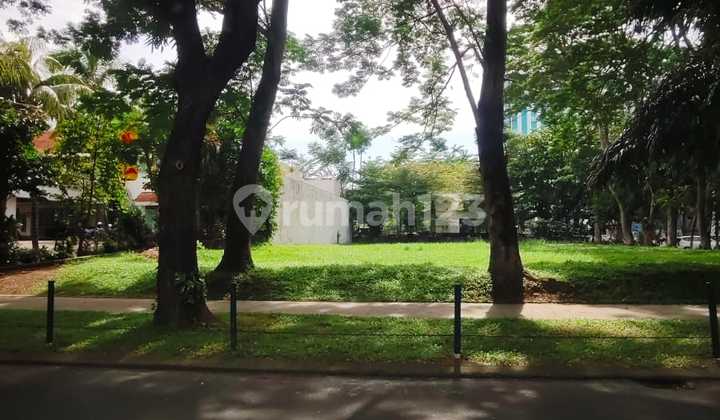 For Rent Commercial Plot Opposite Flavour Bliss in Alam Sutera