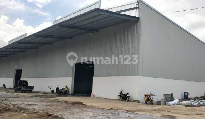 Disewa Beberapa Gudang Baru Ceiling Tinggi di Sepatan Tangerang Disewa Beberapa Gudang Baru Ceiling Tinggi di Sepatan Tangerang