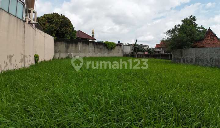 Nice Plot Inside Cluster