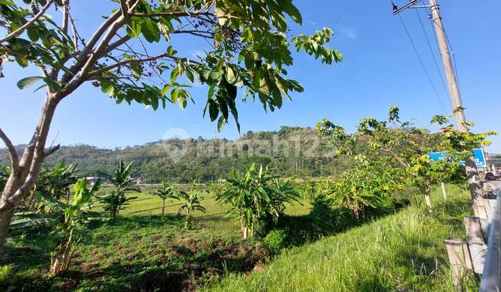 Land in East Ungaran Suitable for Business 1