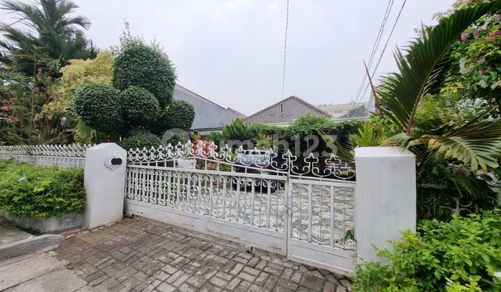 Rumah Asri Di Menteng 