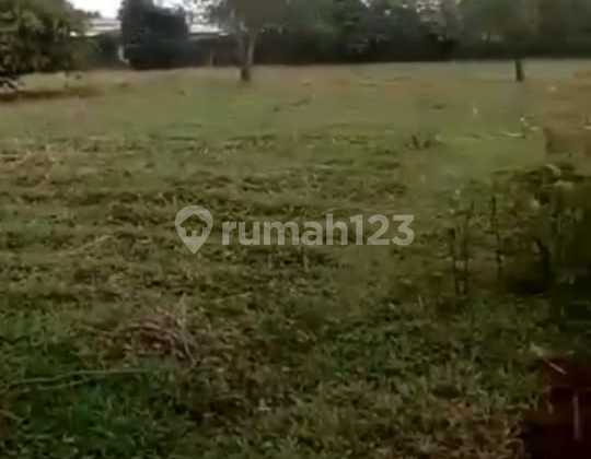 Good and Flat Land, Suitable for Housing in Dawuan Timur, Cikampek. Good and Flat Land, Suitable for Housing in Dawuan Timur, Cikampek.