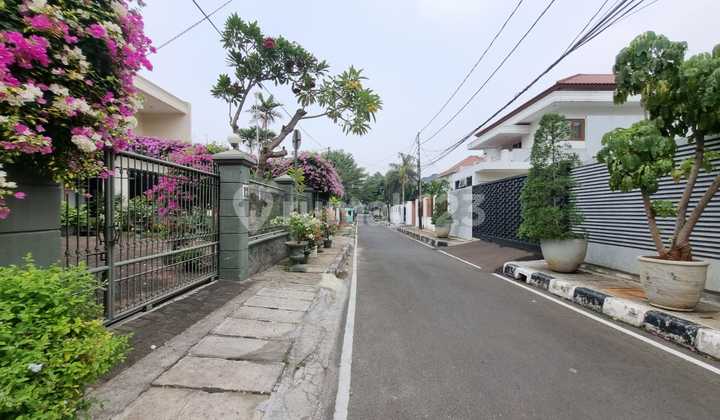 Rumah Asri Di Menteng  2