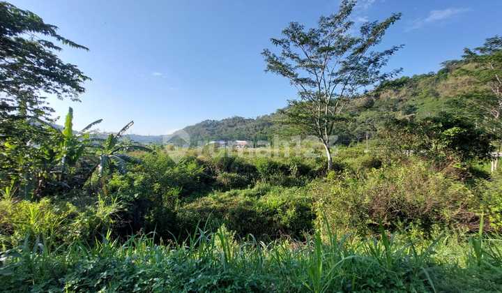 Land in East Ungaran Suitable for Business 2