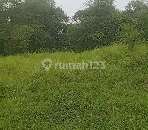 Land on Jl Kopo Maja Serang 5 Hectares
