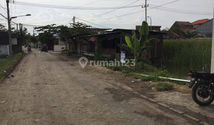 Tanah Di Tambak Medokan Ayu 1