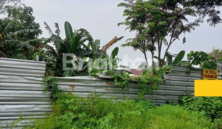 TANAH DI PINGGIR JALAN COCOK UNTUK USAHA 1