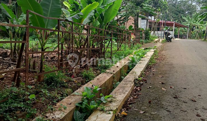 Disewakan Tanah Cukup Luas Di Gunung Pati 2