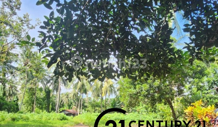 Tanah bisa untuk Cluster di Manado Tanah bisa untuk Cluster di Manado