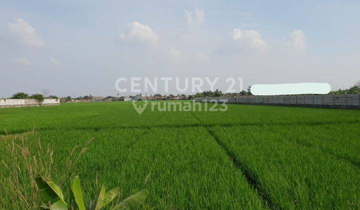 Tanah Lahan Komersial Di Karawang Barat  1