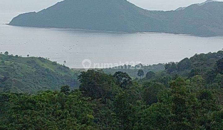Tanah Murah View Teluk Belongas, di Buwun Mas Hills, Lombok Barat 1
