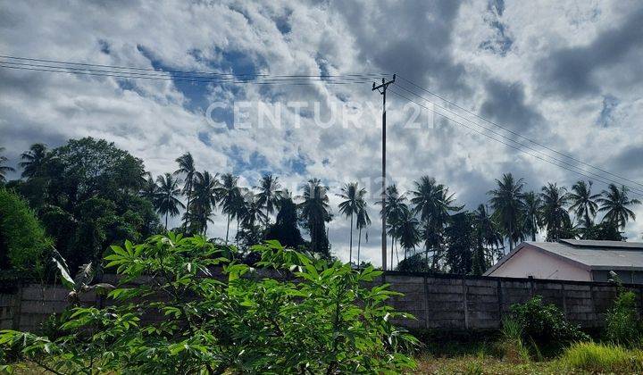 Disewakan Tanah Luas Di Depan Jalan Raya Strategis Manado 1