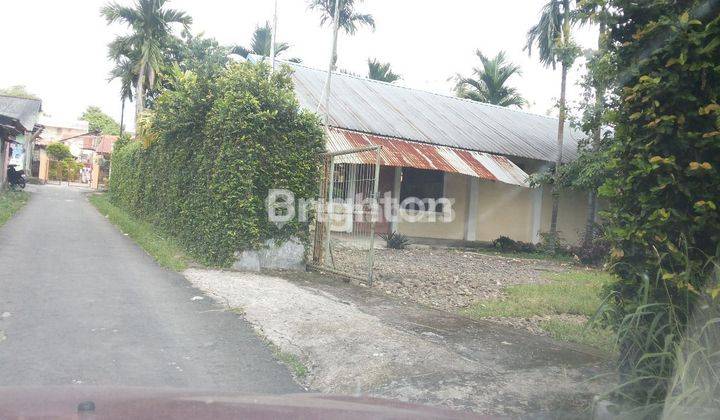 TANAH plus 1 RUMAH dengan MATA AIR LANGSUNG dari GN SALAK BOGOR 1