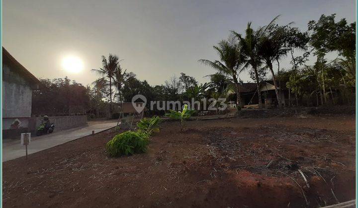 Tanah Kapling Gamplong Moyudan Area Luas Jogja 1