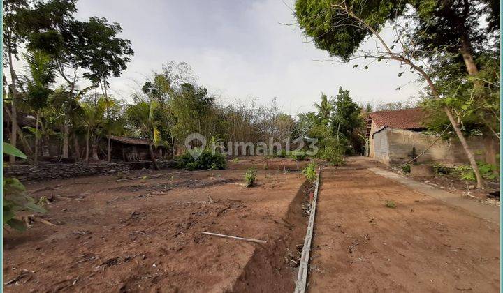 Tanah Dijual Jalan Lebar 5 m Jogja Gamplong Moyudan 1