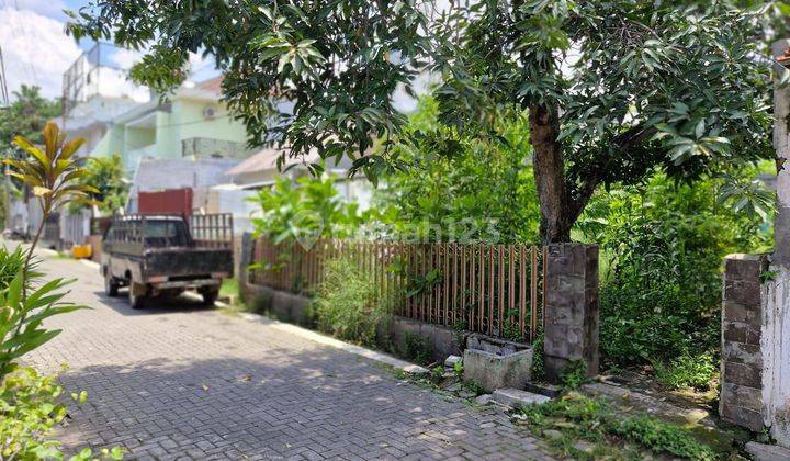 JUAL TANAH JL. KERTANEGARA, DEKAT DENGAN UNDIP 1