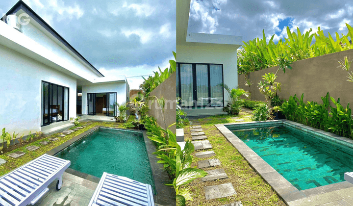 Villa 2 Kamar Tidur di Canggu, Bali 2