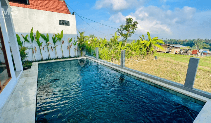 HS Furnished 3 Bedroom Villa in Cemagi, Bali 2