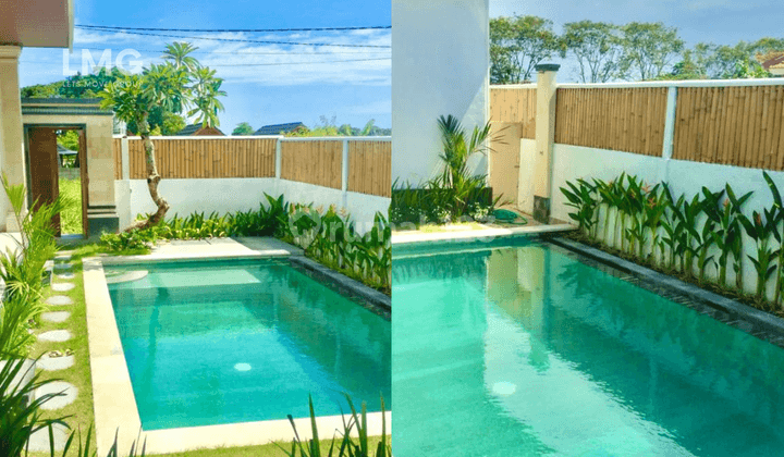 Unfurnished Villa for rent in Canggu, Bali 1